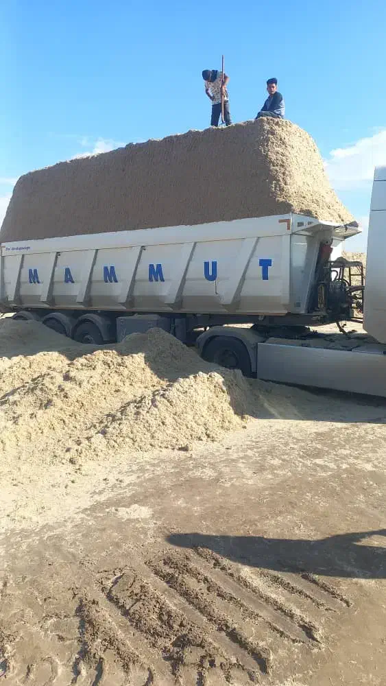 کاه نیشکر جدید|خوردنی و آشامیدنی|گوآور, |دیوار