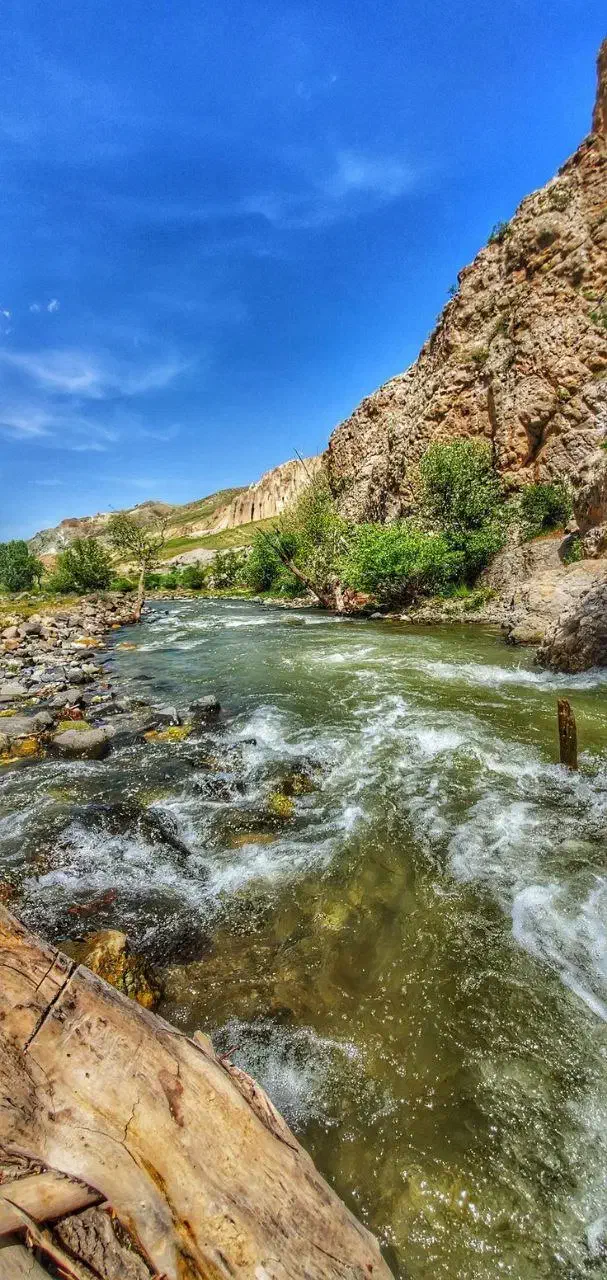 بار پاک نامه پرنده یا وسیله برا اهواز فردا صبح|فعالیت داوطلبانه|بهبهان, |دیوار