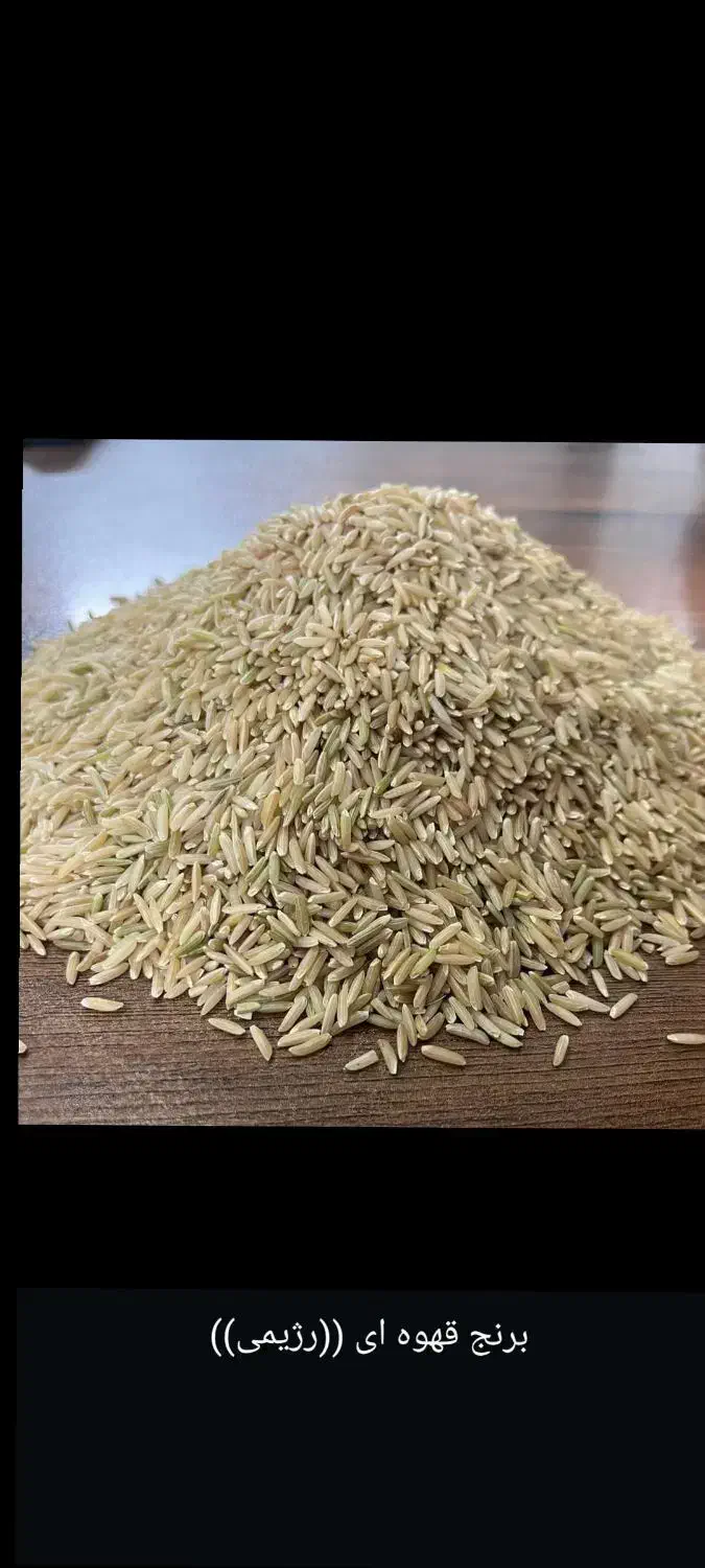 برنج درجه یک گیلانی|خوردنی و آشامیدنی|حویق, |دیوار
