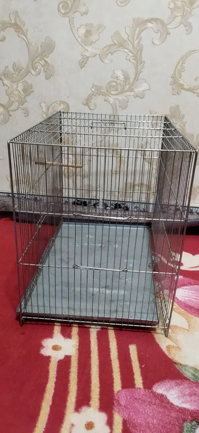 قفس پرنده|لوازم جانبی حیوانات|ایلام, |دیوار