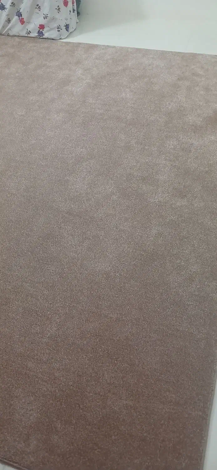 پالاز موکت|موکت|زنجان, |دیوار