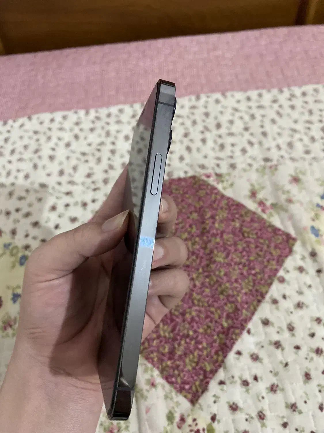 اپل ۱۲پرو تمیز خانگی|موبایل|مشهد, جانباز|دیوار