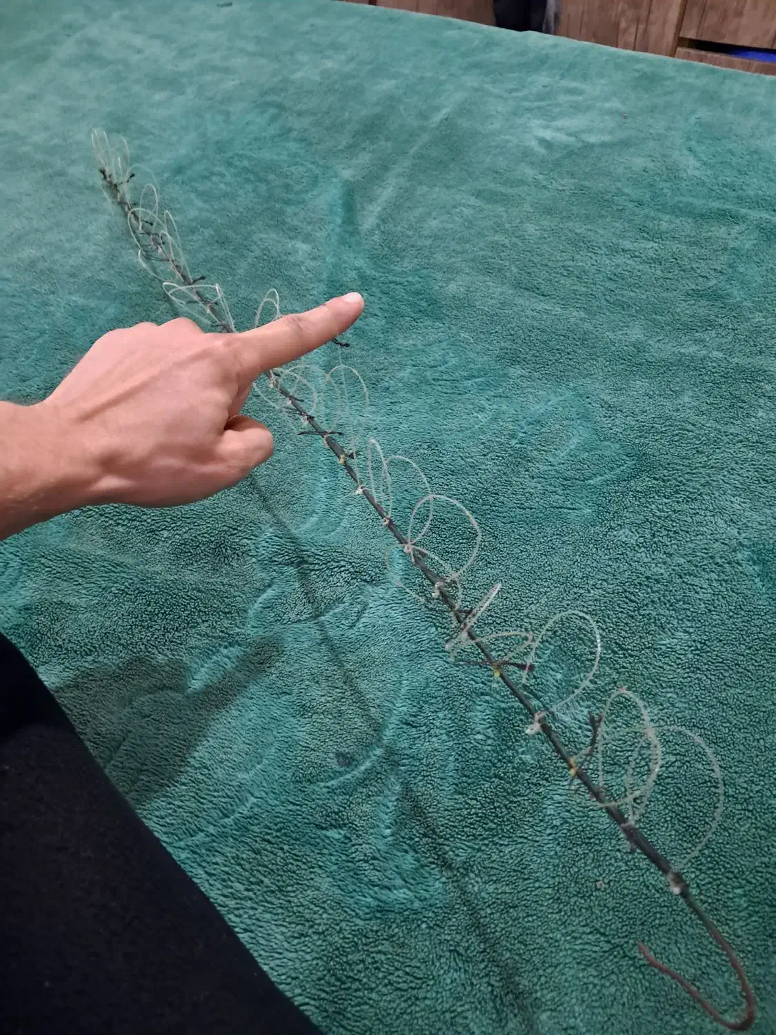 فروش تله برای صید پرندگان مورد علاقه|لوازم جانبی حیوانات|لاهیجان, گلستان|دیوار