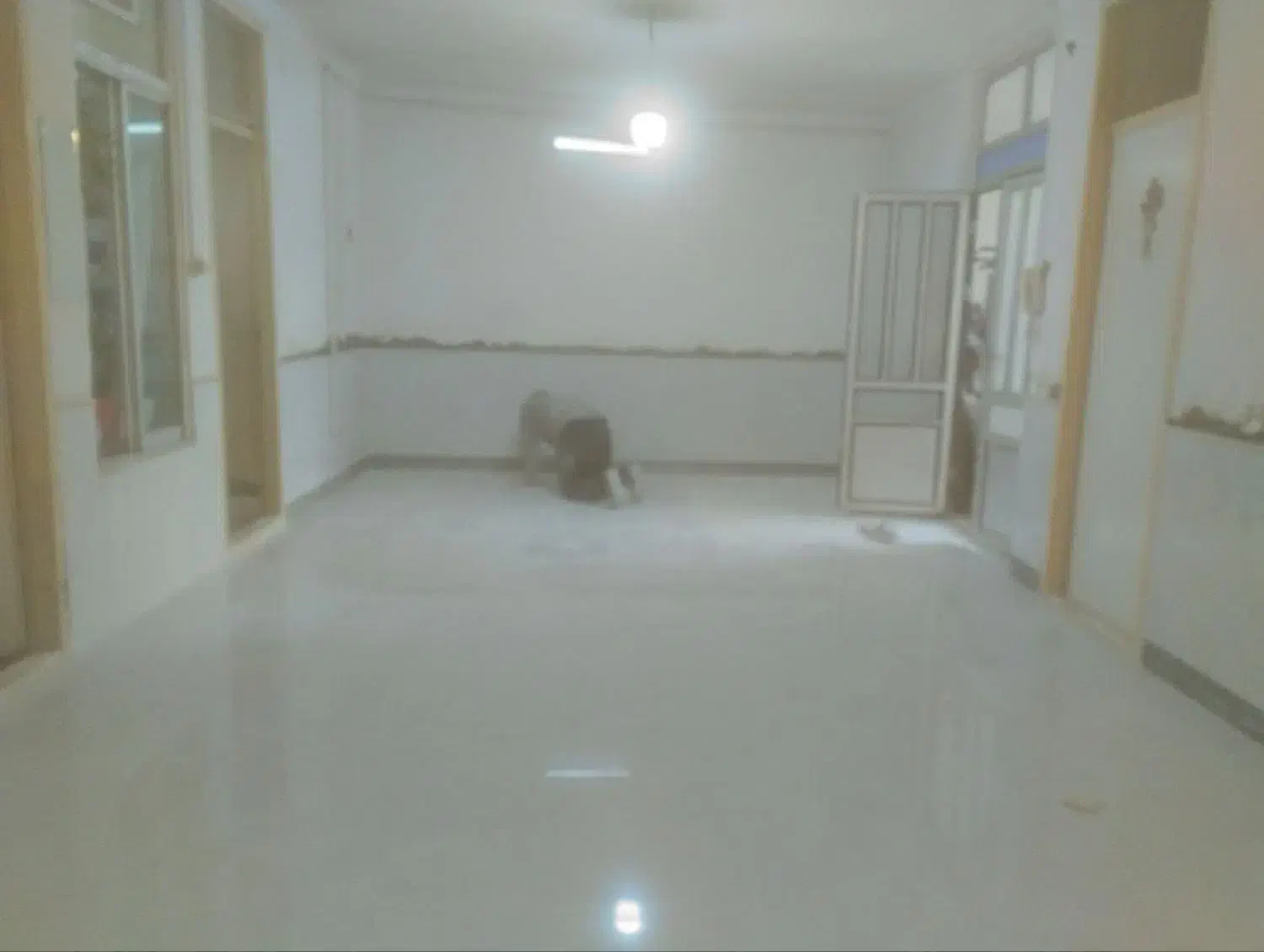 کاشیکاری مزایک پزیرفته میشود|خدمات پیشه و مهارت|نیشابور, ناسیونال|دیوار