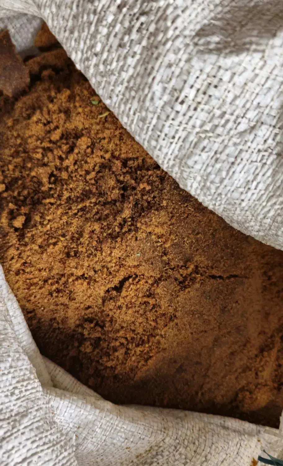 فروش کشمش|خوردنی و آشامیدنی|تاکستان, |دیوار