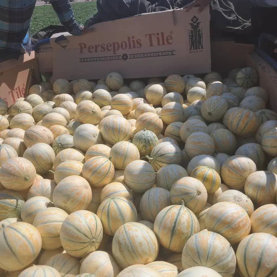 استخدام نیروی کار میوه فروشی|استخدام خدمات فروشگاه و رستوران|حمیدیا, |دیوار