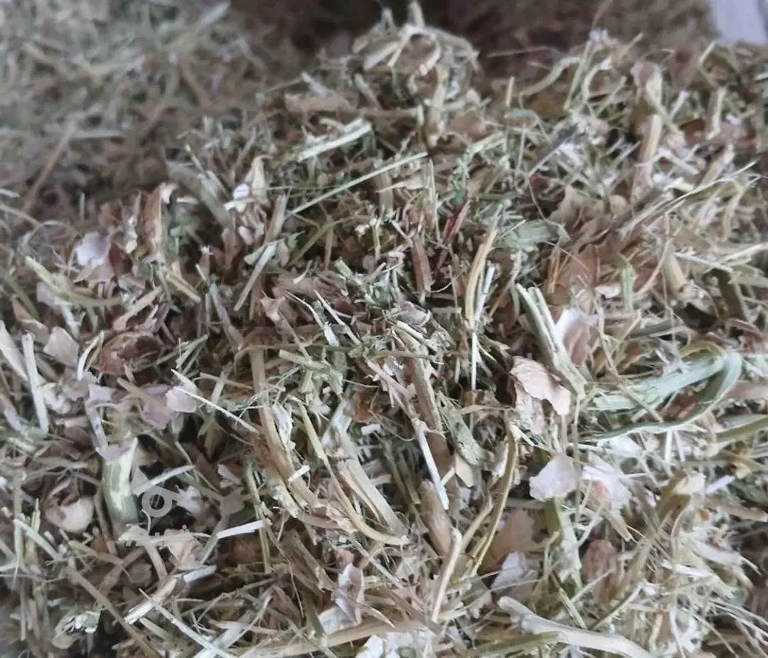 کاه روغنی لوبیا برای خوراک اقتصادی دام سبک و سنگین|لوازم جانبی حیوانات|قائم‌شهر, |دیوار