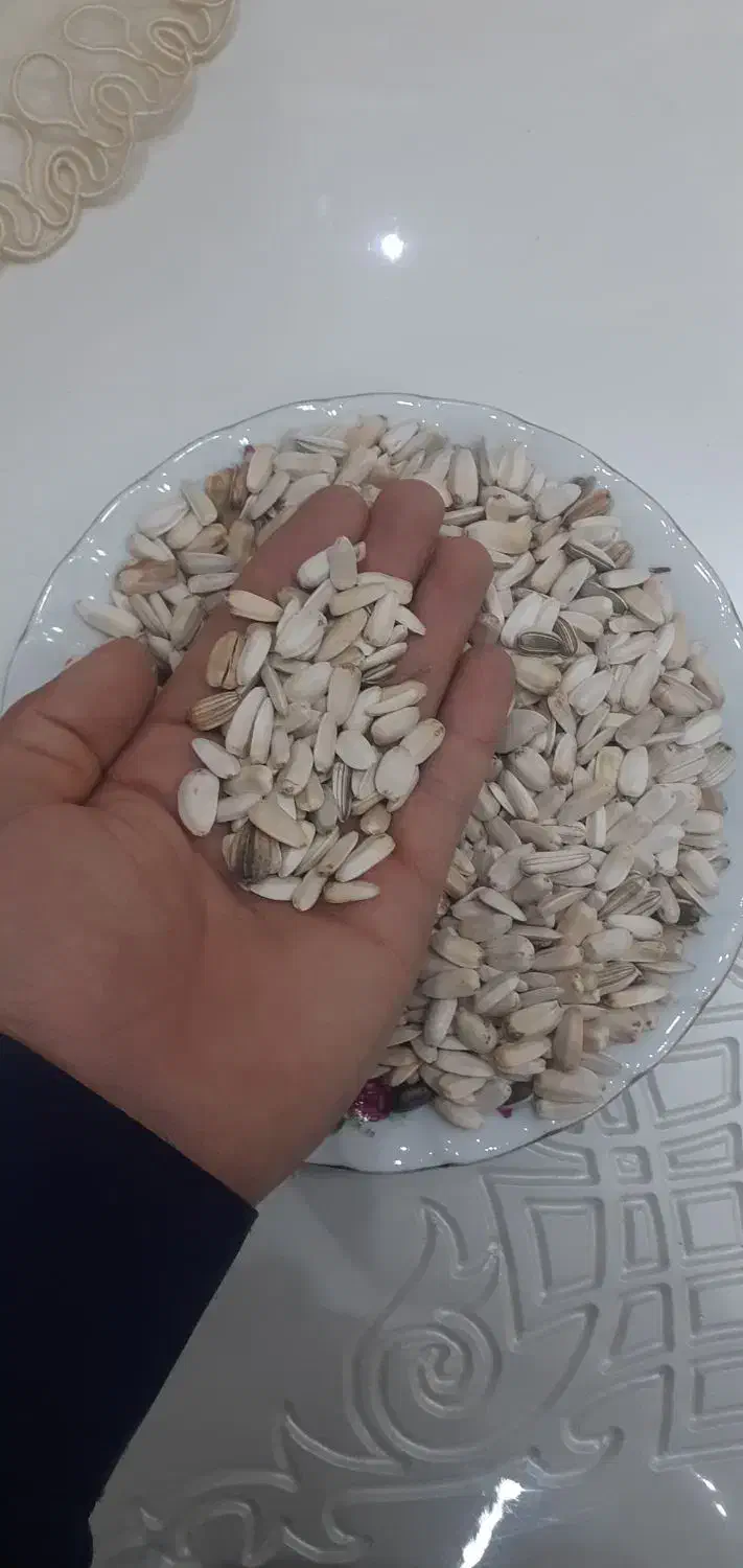 تخمه آفتاگردان  بومی نوش آباد|عمده‌فروشی|آران و بیدگل, |دیوار