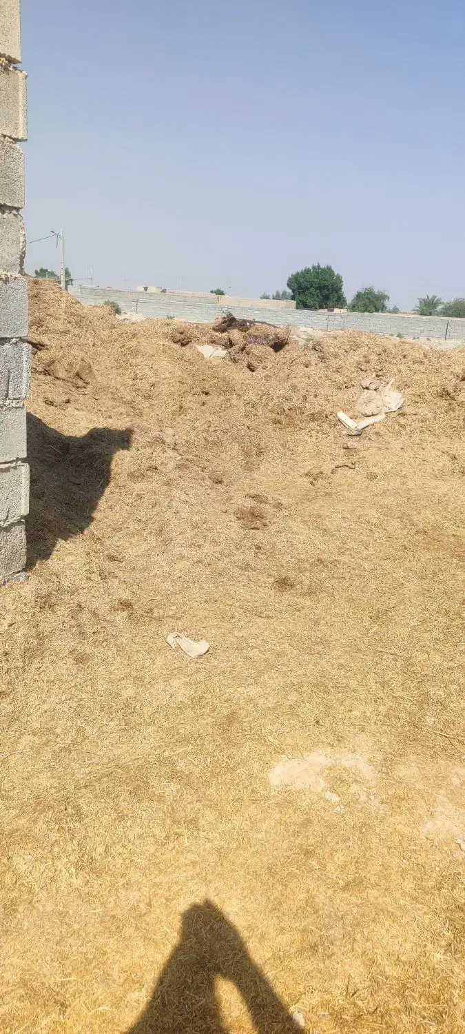 کاه گندم|حیوانات مزرعه|باوی, |دیوار