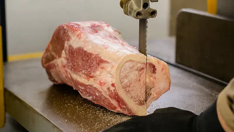 تیغ اره استخوان بر ماهی بر گوشت بر اهن بر|خدمات پیشه و مهارت|محمدشهر, شهرک چمران|دیوار