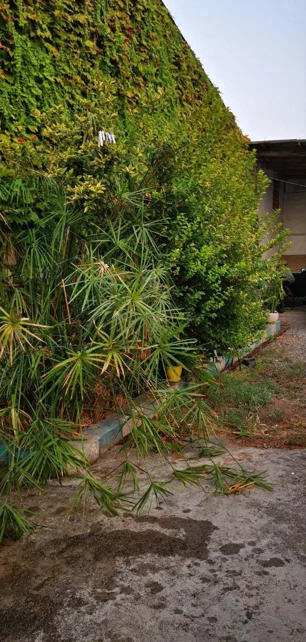 فروش خانه ویلایی مزرعه کتول|فروش خانه و ویلا|علیآباد کتول, |دیوار