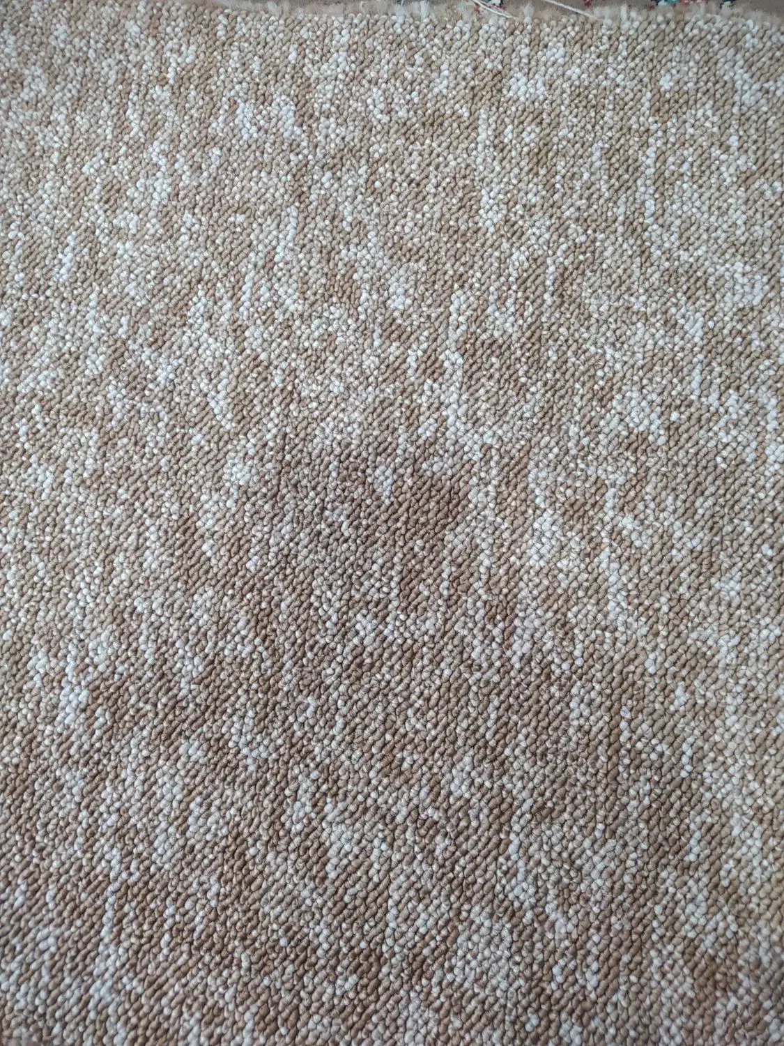 پالاز موکت در حد نو|موکت|شاهدشهر, |دیوار