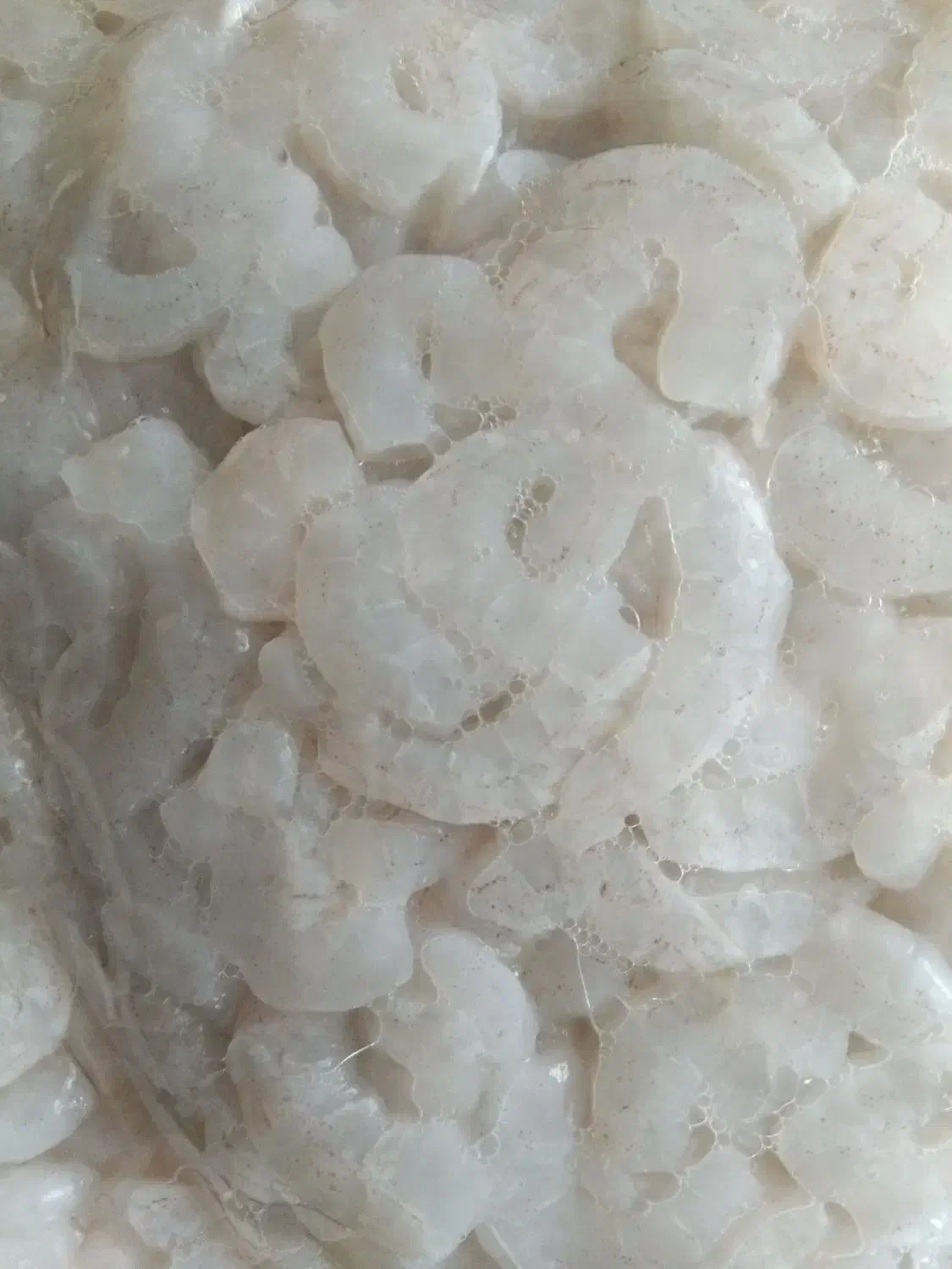 میگو جنگل|خوردنی و آشامیدنی|قشم, |دیوار