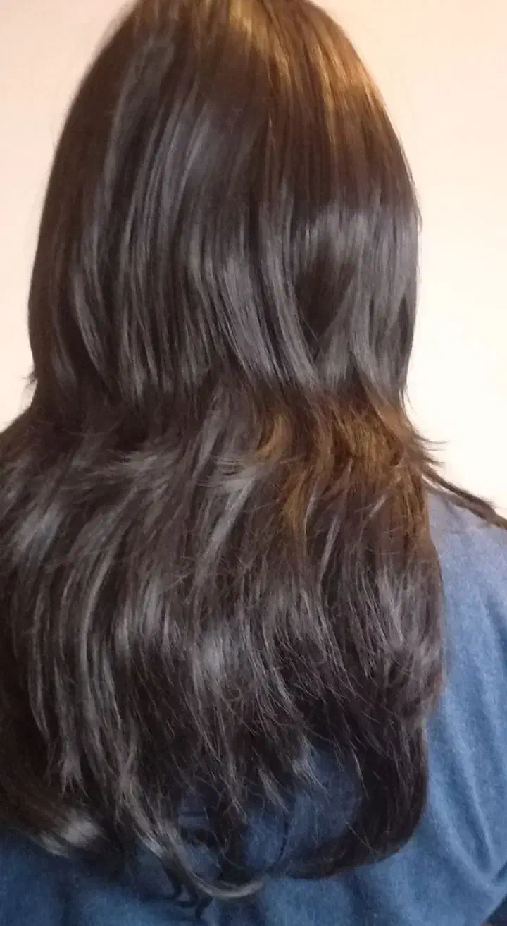 کلاه گیس|آرایشی، بهداشتی، درمانی|رشت, توشیبا|دیوار