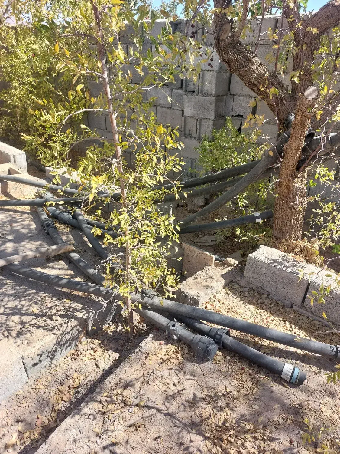 لوله برا ابیاری|مصالح و تجهیزات ساختمان|جلگه ماژان, |دیوار