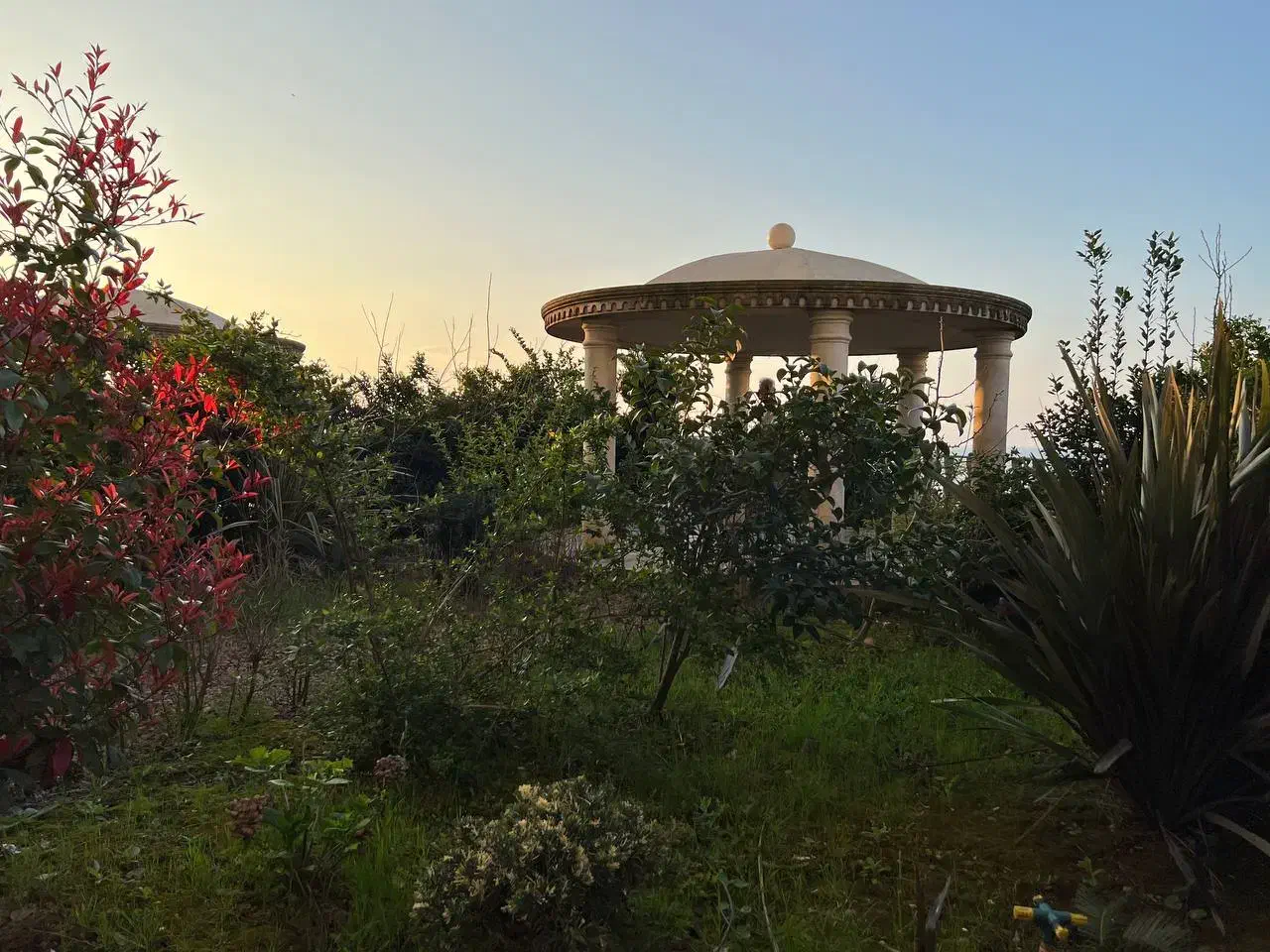 اجاره ۳۳۰ متر پلاک اول|اجارهٔ آپارتمان|سرخرود, |دیوار