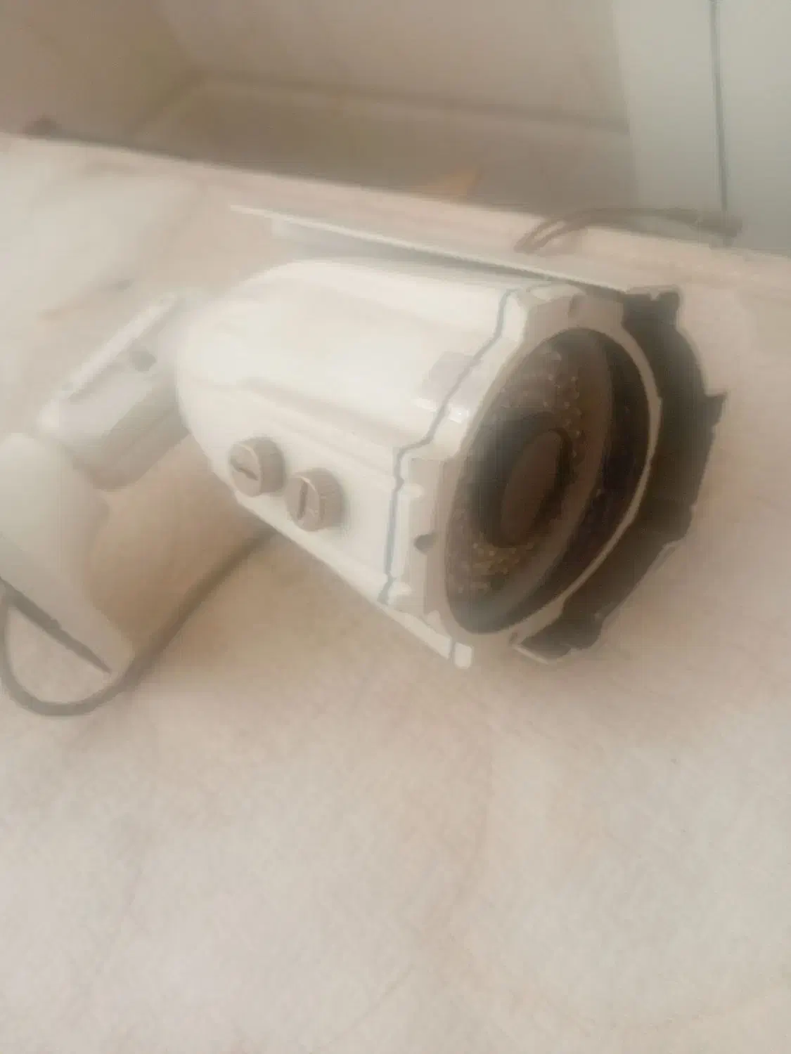 مرغ مینا|پرنده|یزد, |دیوار