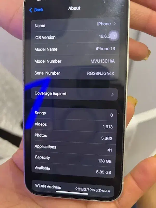 ایفون 13 نرمال|موبایل|کیش, |دیوار