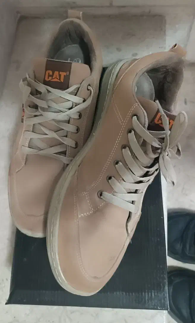 کفش با برند تجاری CAT|کیف، کفش، کمربند|بوشهر, |دیوار