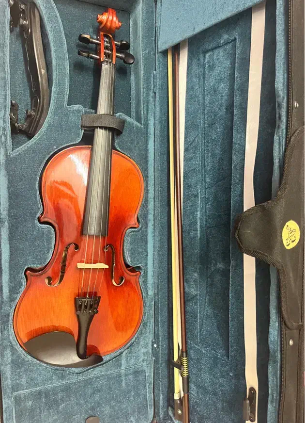 ویالون mv 146|ویولن|تهران, صادقیه|دیوار