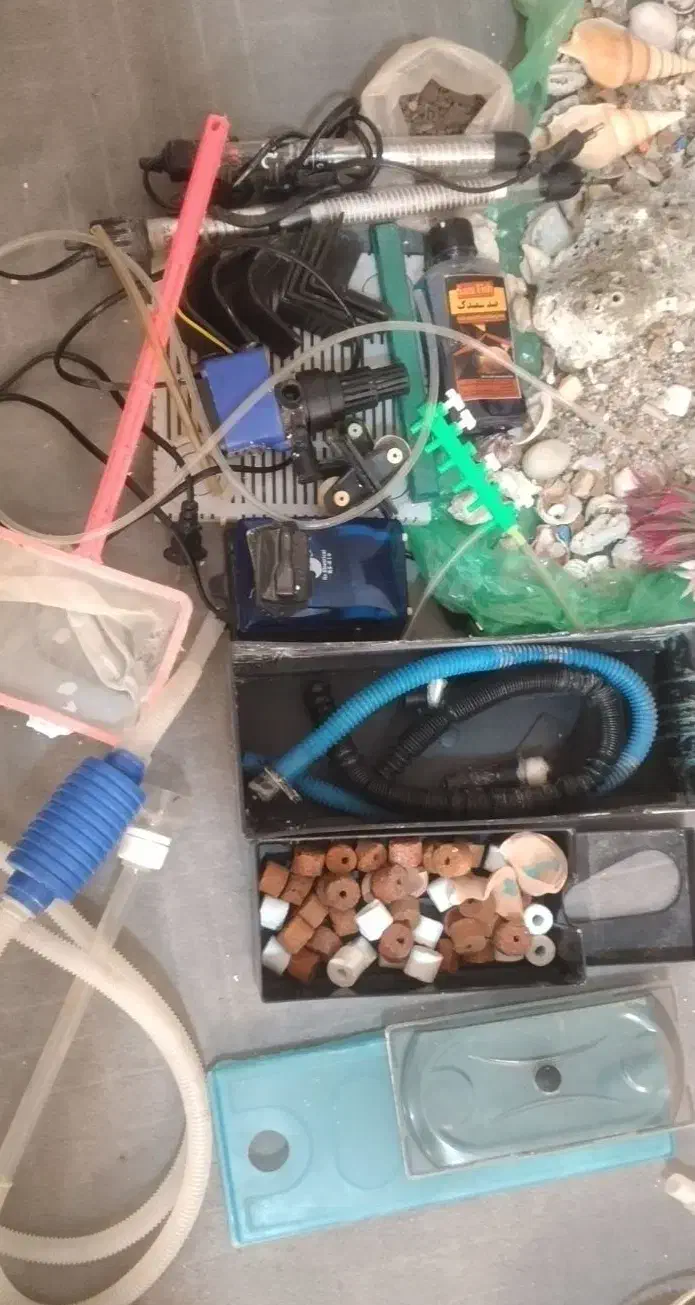 اکواریوم ماهی با همه تجهیزات|ماهی|ماکو, |دیوار