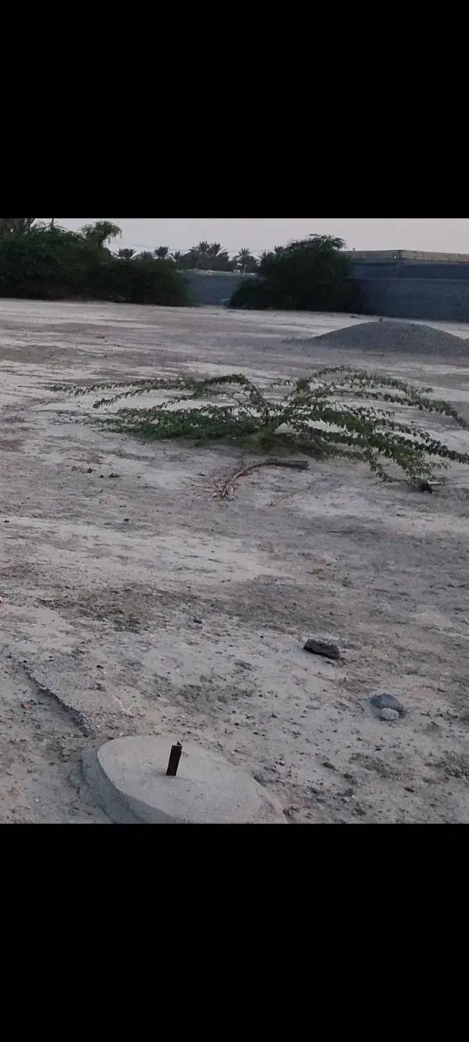 فروش زمین ۳۰۰ متری|فروش زمین و ملک کلنگی|میناب, |دیوار