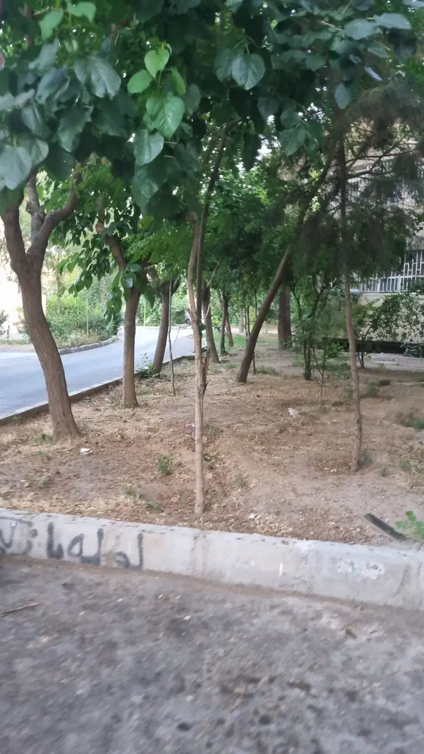 فروش آپارتمان ۶۵ متری ۲ خوابه طبقه ۱ در A۳|فروش آپارتمان|فولادشهر, A3|دیوار