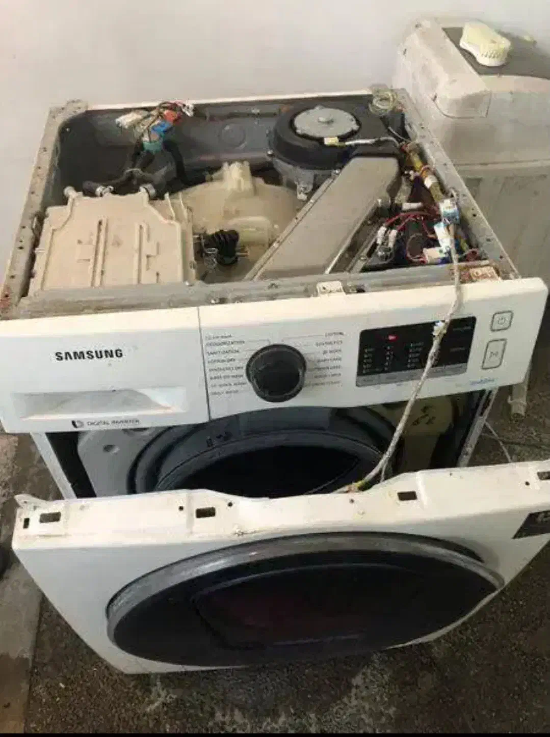 تعمیرات لباسشویی و ظرفشویی در منزل|خدمات پیشه و مهارت|رامسر, |دیوار