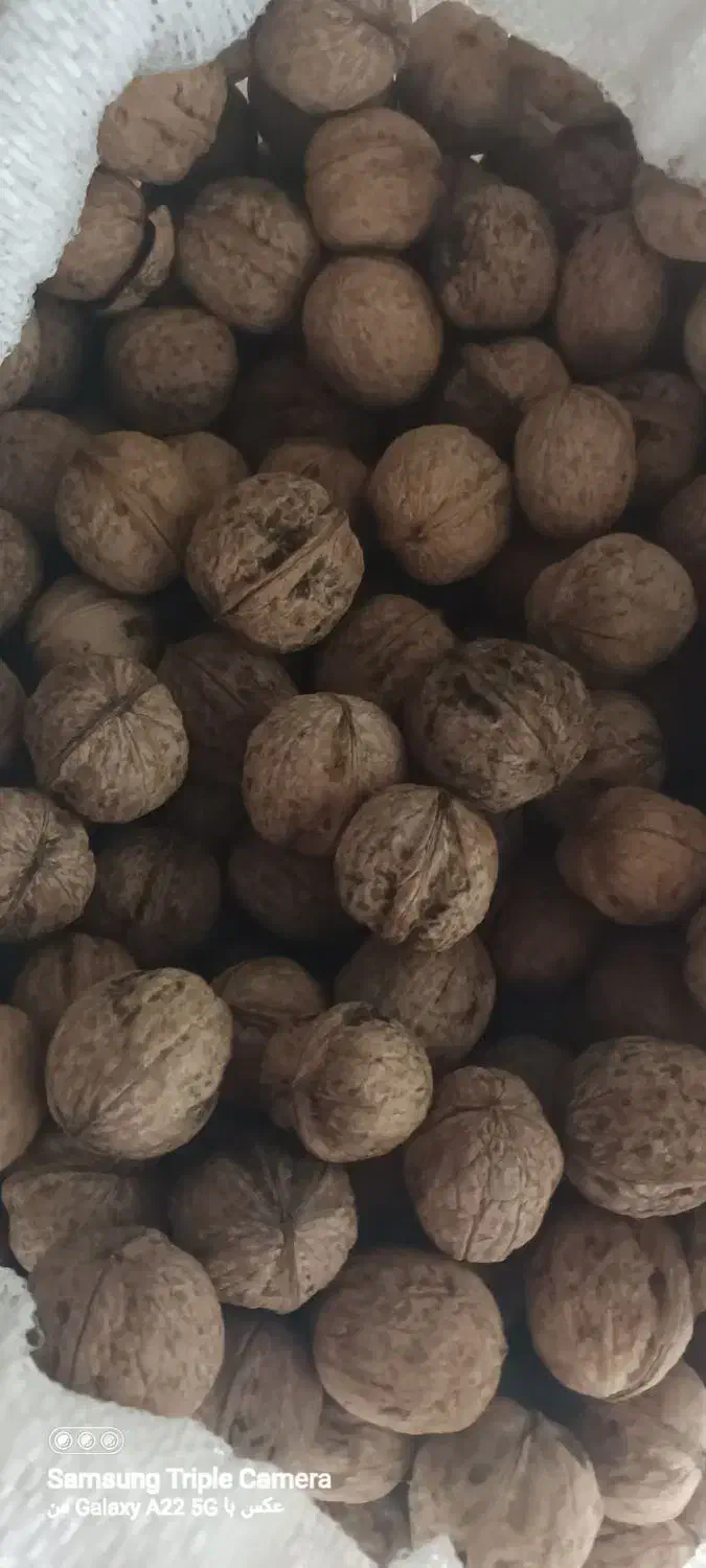 گردو محلی و اخته زغال|خوردنی و آشامیدنی|قزوین, |دیوار