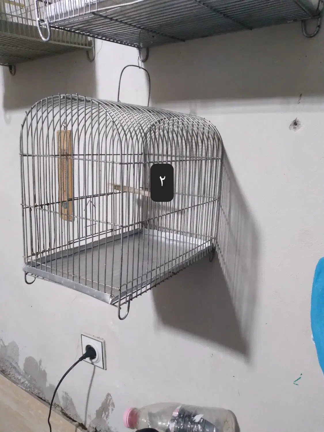 قفس سهره|لوازم جانبی حیوانات|رشت, نخودچر|دیوار