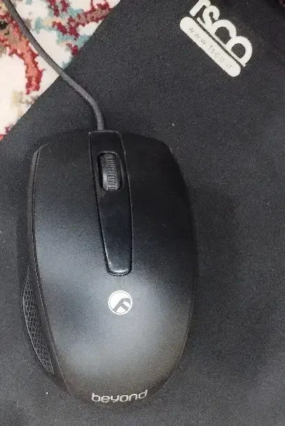 موس و کیبرد|قطعات و لوازم جانبی رایانه|کلاله, |دیوار