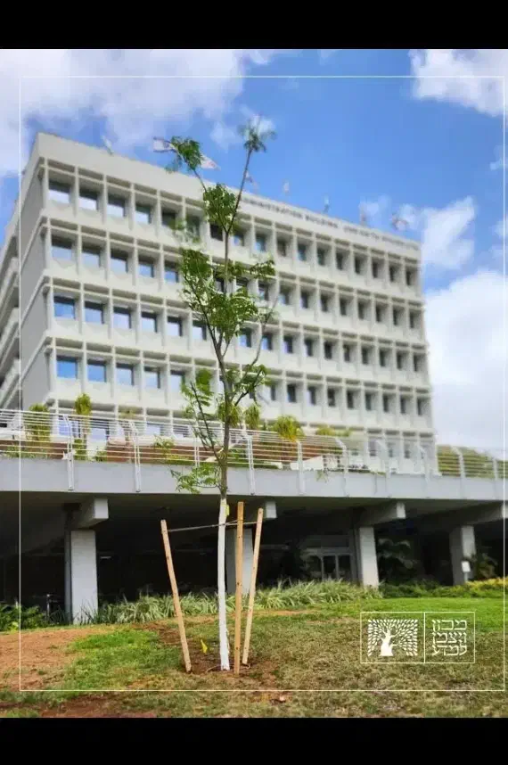 فروش آپارتمان|فروش آپارتمان|مشهد, یوسفیه (شهرک غرب)|دیوار