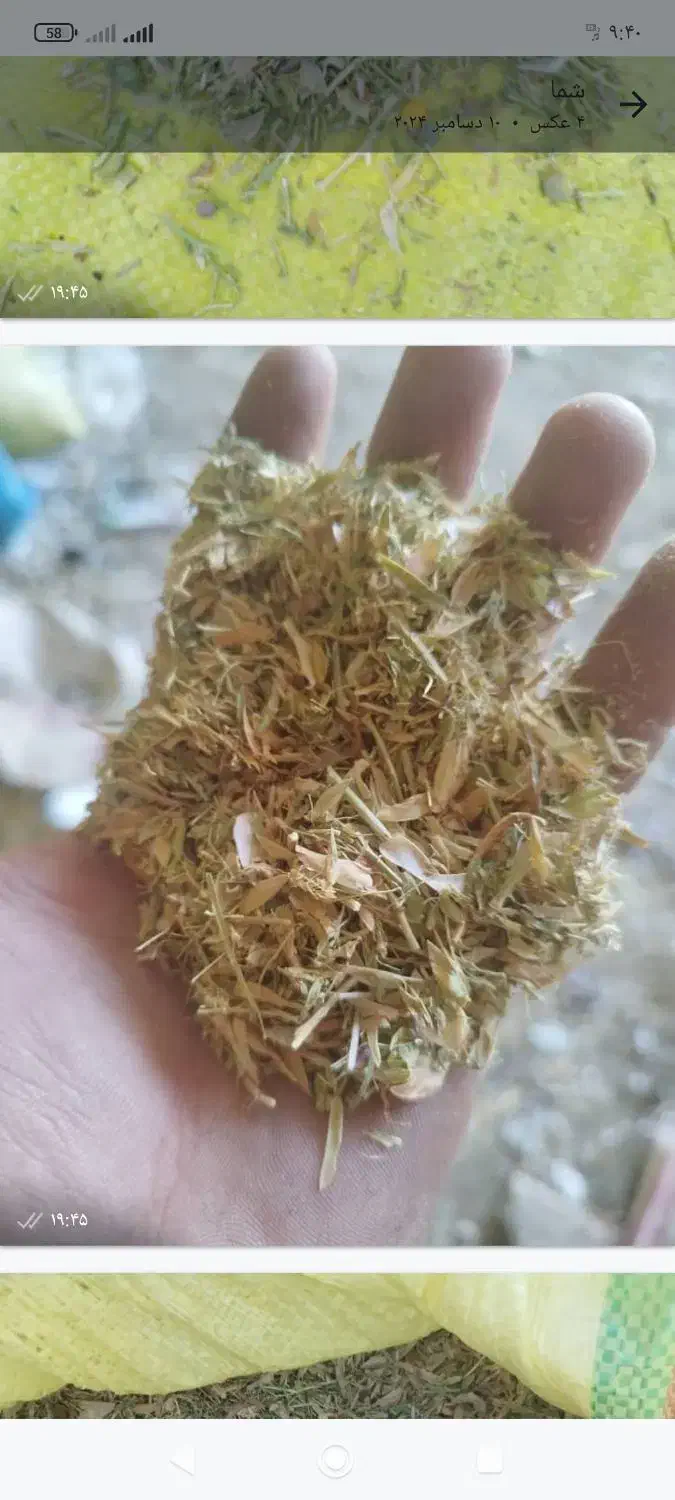 کاه‌عدس‌ سبز|لوازم جانبی حیوانات|رشت, کوی عرفان|دیوار