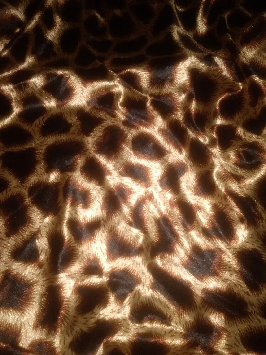 پارچه|لباس|اهواز, کوی مندلی(سه راه خرمشهر)|دیوار