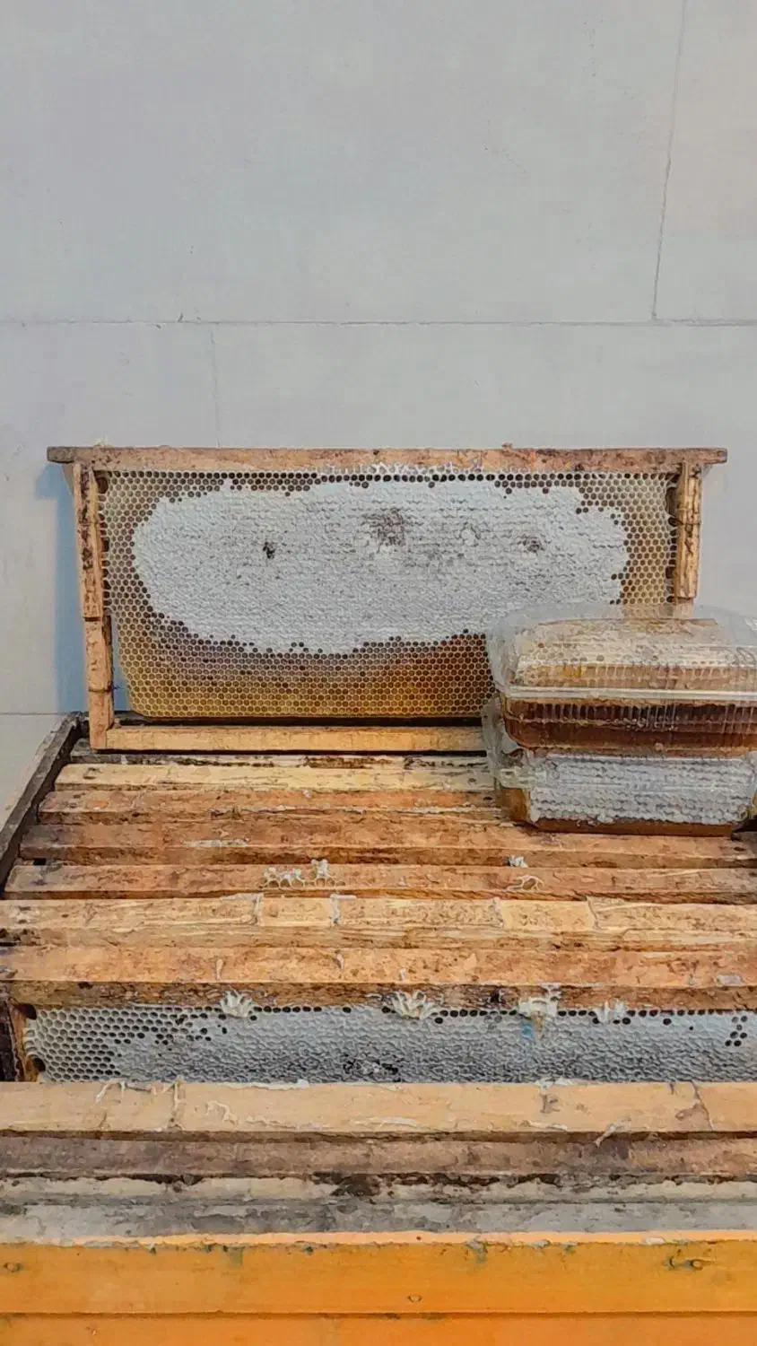 عسل طبیعی(از تولید ب مصرف)|خوردنی و آشامیدنی|لاله زار, |دیوار