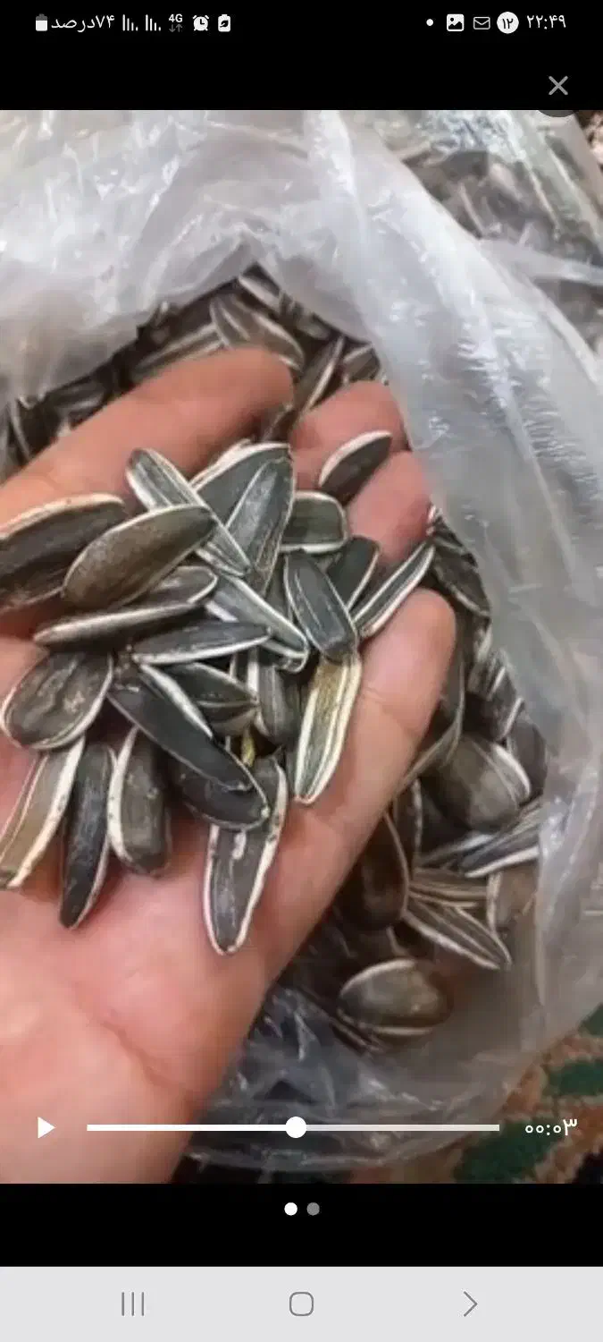 تخمه|خوردنی و آشامیدنی|خارک, |دیوار