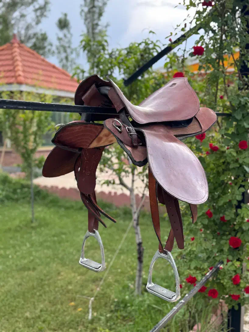 زین اسب|اسب و تجهیزات اسب‌سواری|تبریز, |دیوار