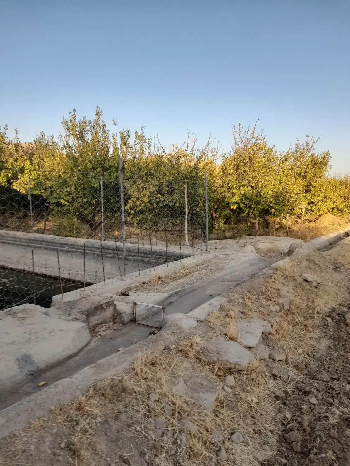 سلام یک قطعه باغ فروش می‌رود|فروش دفتر صنعتی، کشاورزی، تجاری|آباده, |دیوار