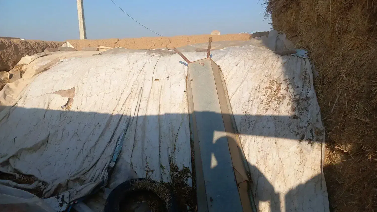 چین اول|خدمات باغبانی و درختکاری|پلدشت, |دیوار