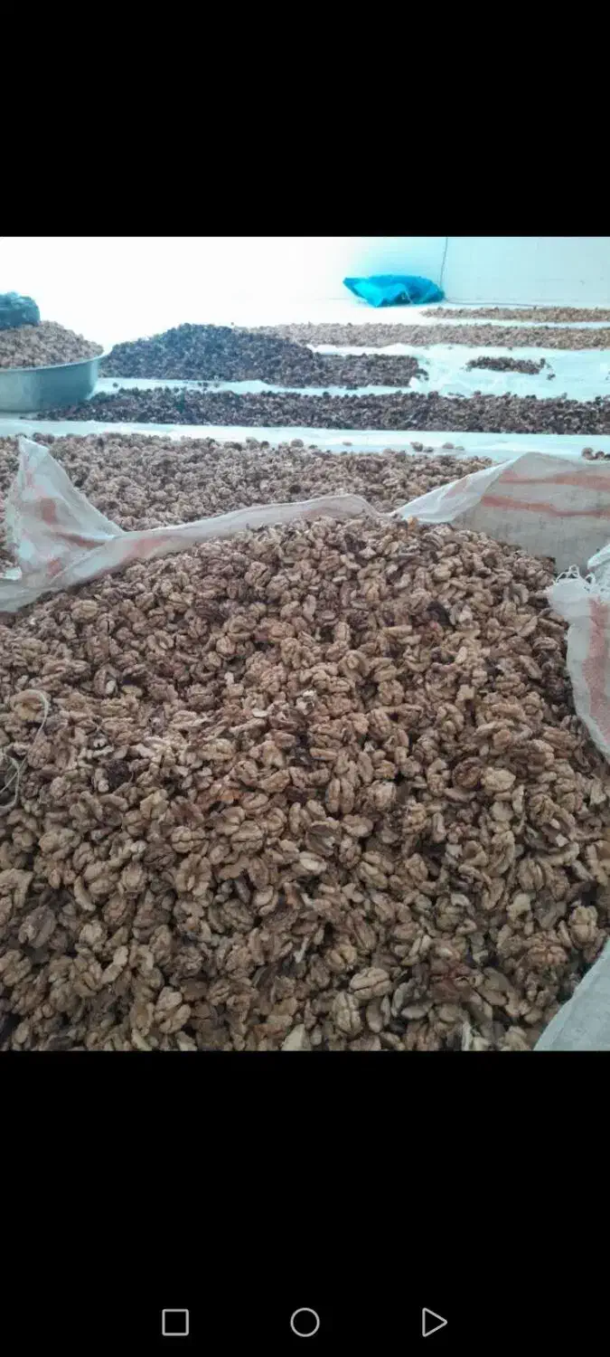 گردو قاهان|خوردنی و آشامیدنی|قاهان, |دیوار