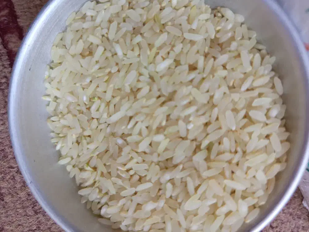 برنج کامفیروز اصل|خوردنی و آشامیدنی|بهمن صغاد, |دیوار