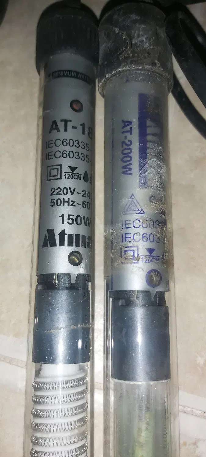 بخاری اکواریوم و سنگ مرجانی|ماهی|رشت, رودباری|دیوار