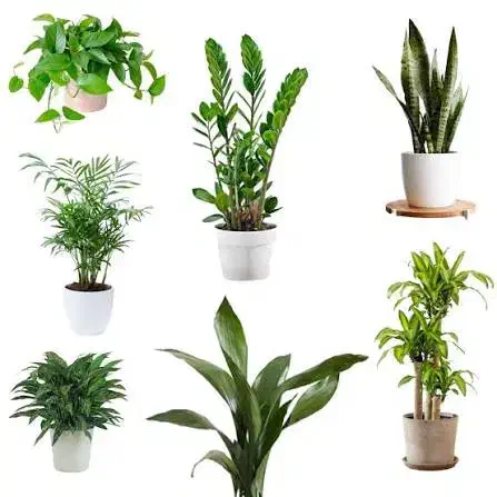 راهنمایی میکنم|فعالیت داوطلبانه|مشهد, ایثار|دیوار