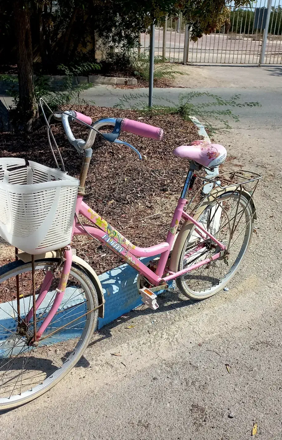 دوچرخه سایز ۲۴ کاملا سالم|دوچرخه، اسکیت، اسکوتر|کیش, |دیوار