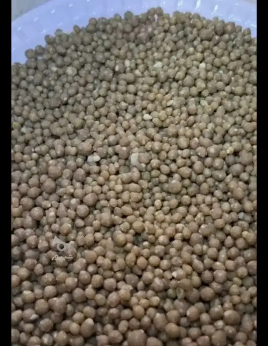 کود دی آمونیوم فسفات (DAP) گرانوله رازی پاییزه|خدمات باغبانی و درختکاری|شیرینسو, |دیوار