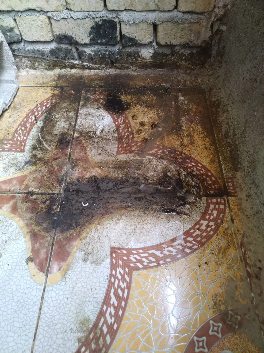 چربی سوز|مواد شوینده و دستمال کاغذی|کازرون, |دیوار