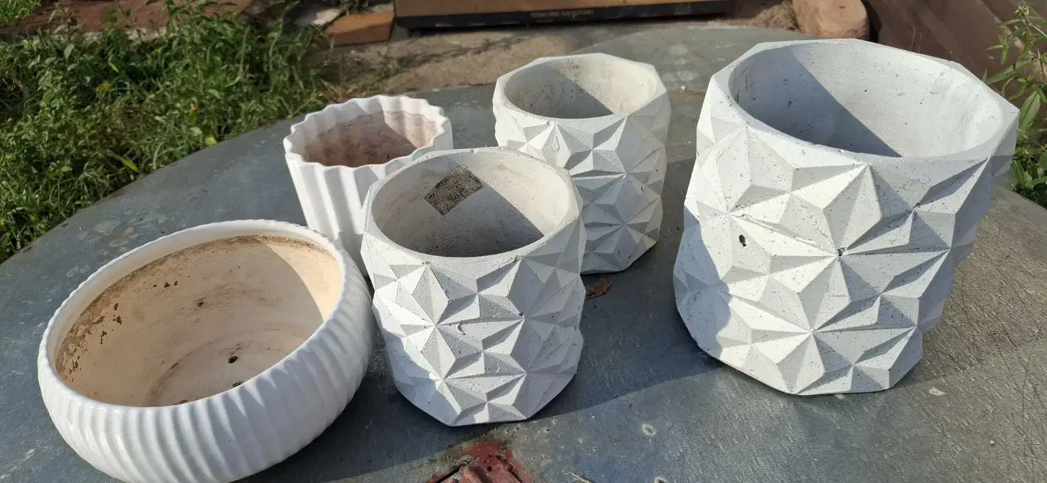 تعدادی گلدان|گل و گیاه طبیعی|کلاچای, |دیوار