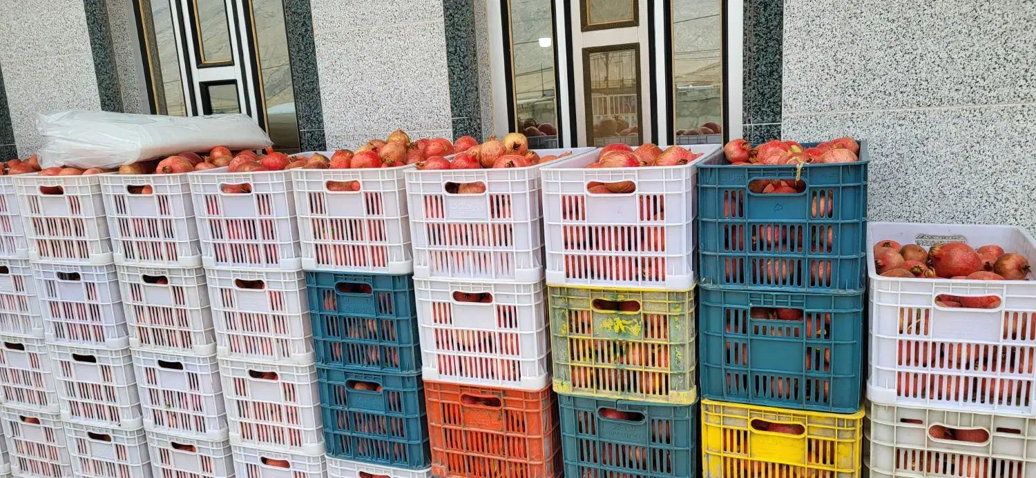 فروش انار درجه یک و دو سیاب|خوردنی و آشامیدنی|کوهدشت, |دیوار