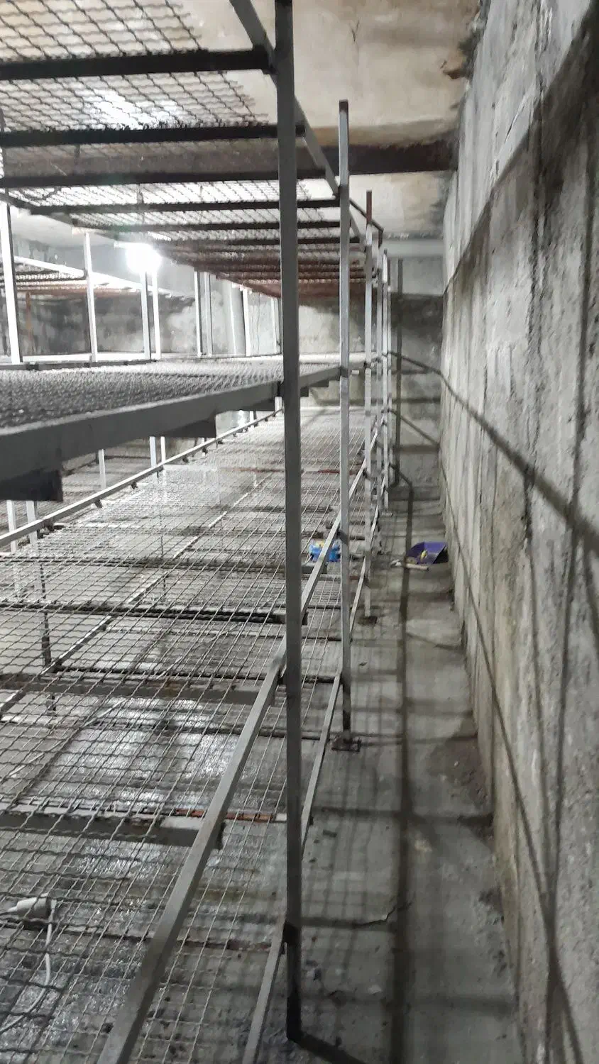 سالن قارچ اجاره ایی یا شراکتی|اجارهٔ مغازه و غرفه|رودهن, |دیوار