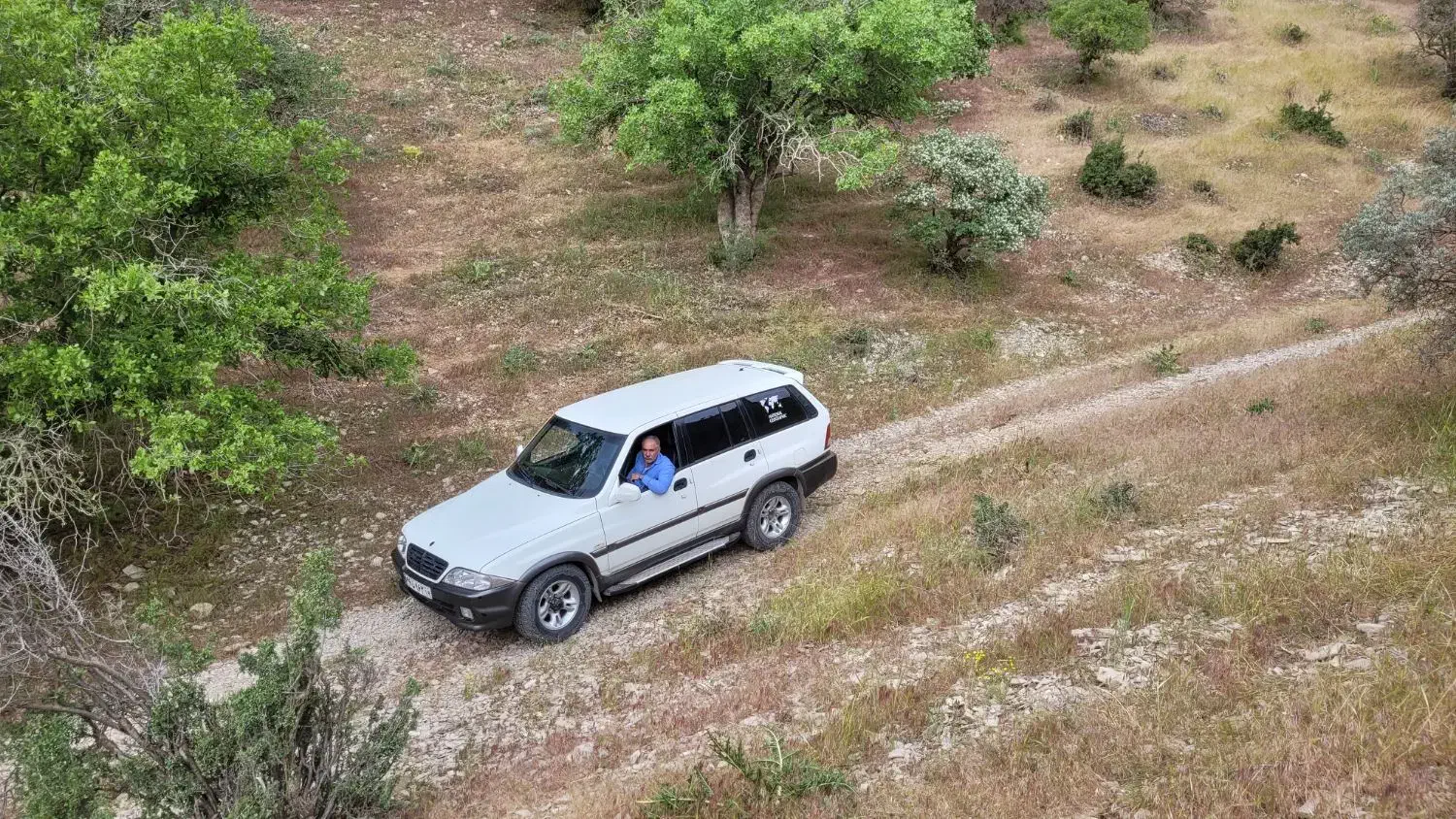 سانگ یانگ  موسو ۲۳۰۰|خودرو سواری و وانت|صحنه, |دیوار